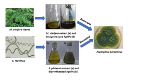 Figure from article: A comparative study of the...