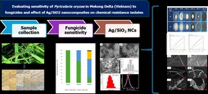 Figure from article: Evaluating sensitivity of...