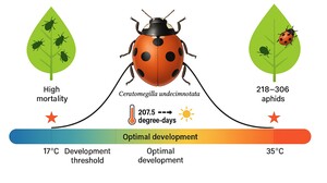 Figure from article: Effect of temperature on...