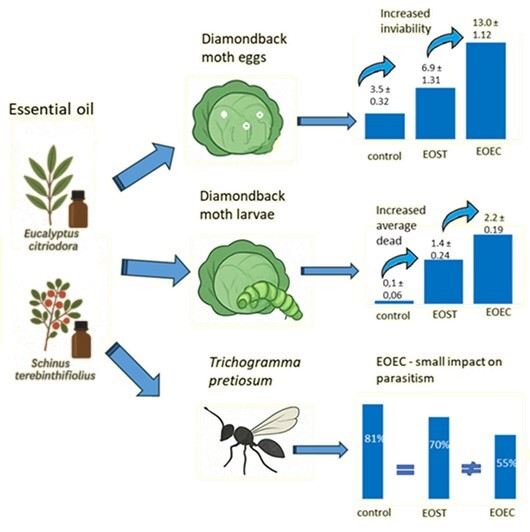 Figure from article: Effect of Eucalyptus...