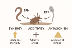 Figure from article: Interactions between...