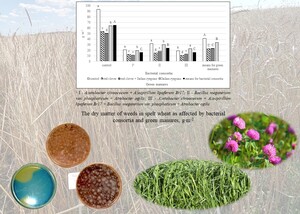 Figure from article: Combination of cover crops...