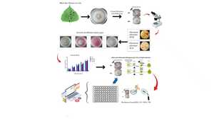 Figure from article: Unraveling the Fungicide...