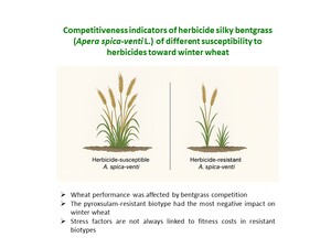 Figure from article: Competitiveness indicators...