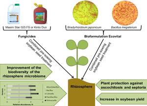 Figure from article: Rhizosphere prokaryotic...