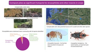Figure from article: Diversity and abundance of...