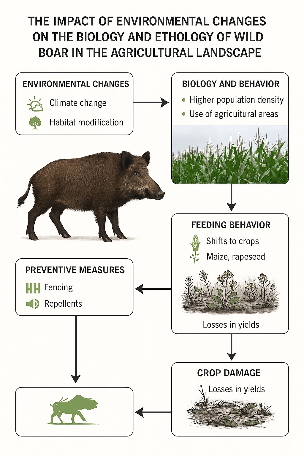 Figure from article: The Impact of Environmental...