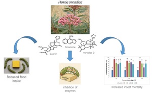Figure from article: The effect of Hortia...