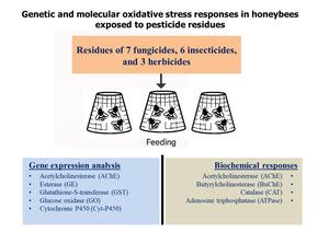 Figure from article: Exposure of honeybees to...