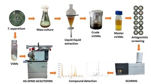 Figure from article: Antagonistic profiling of...