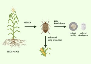 Figure from article: RNA Interference for...