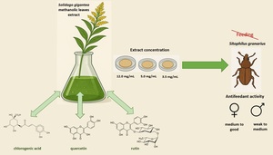 Figure from article: Methanolic extracts of...