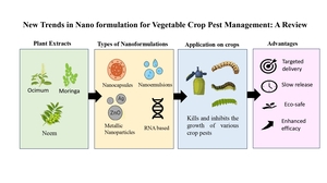 Figure from article: New Trends in Nano...