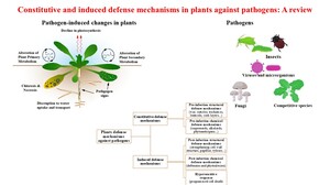 Figure from article: Constitutive and induced...