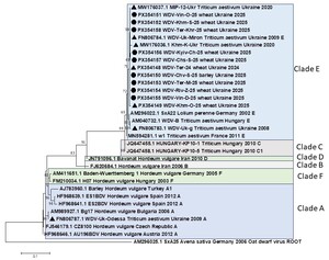Figure from article: Wheat dwarf virus outbreaks...