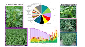 Figure from article: Spectrum of Weed Species in...