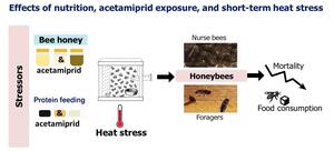 Figure from article: Assessing honeybee...