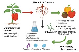 Figure from article: Controlling root rot...