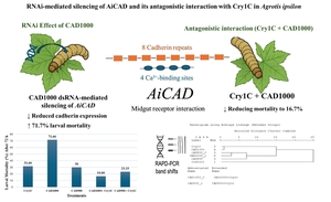 Figure from article: Antagonistic Interactions...