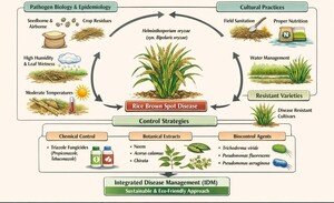 Figure from article: Sustainable Control of...