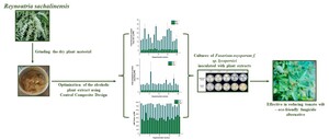 Figure from article: Antifungal activity of...