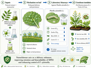 Figure from article: Synergy between...