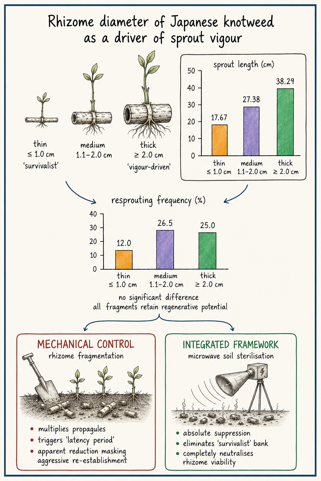 Figure from article: Rhizome diameter as a...