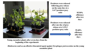 Figure from article: Preliminary studies on the...